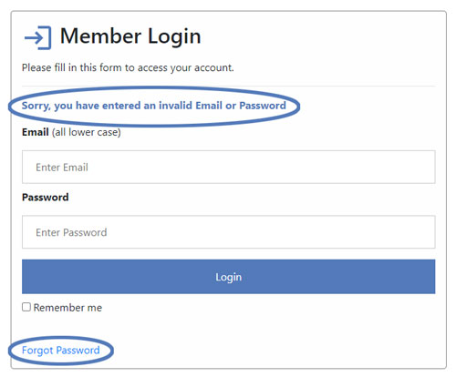 Wrong email or password